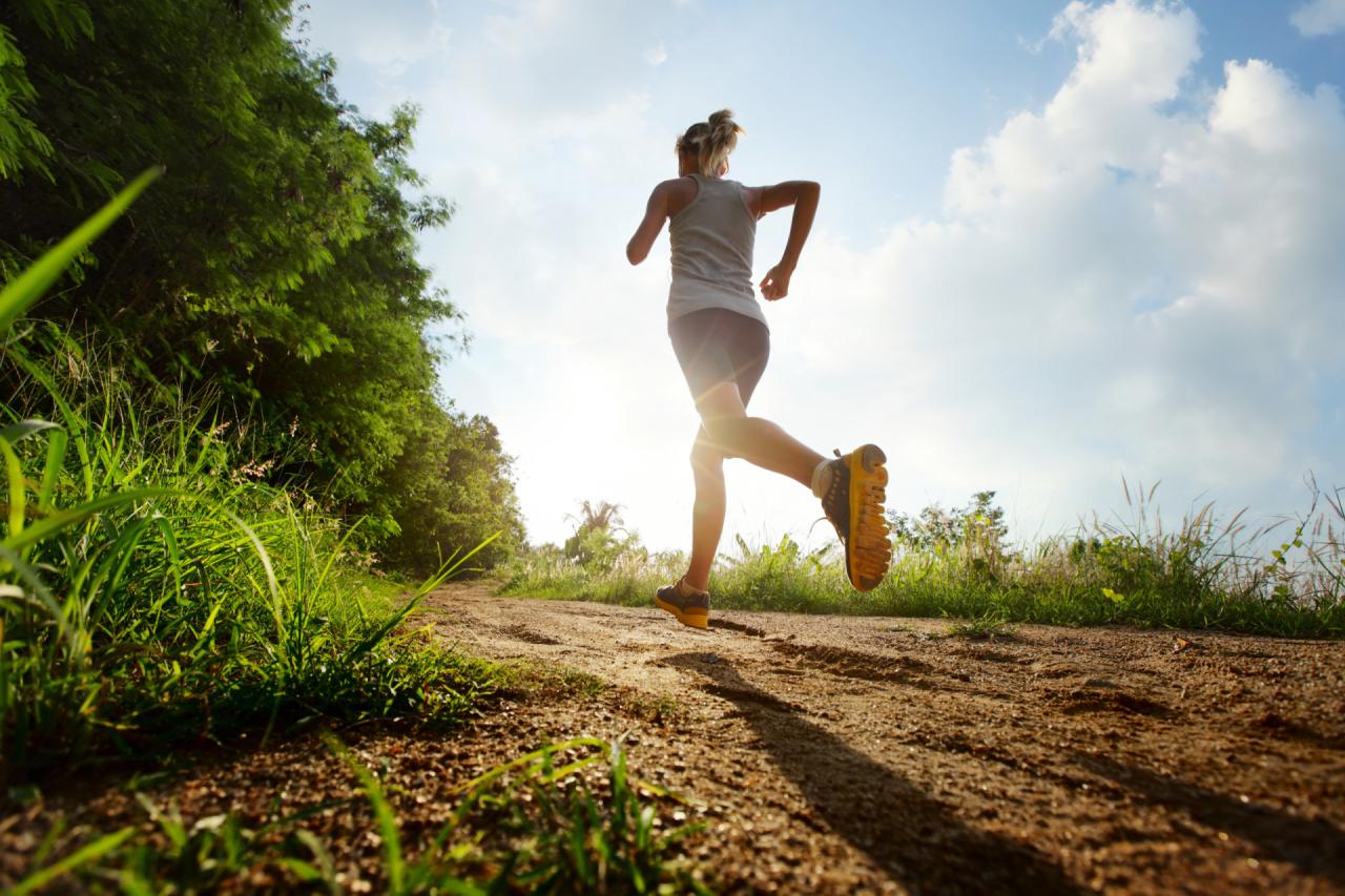 Born to run? The connection between fitness and genetics