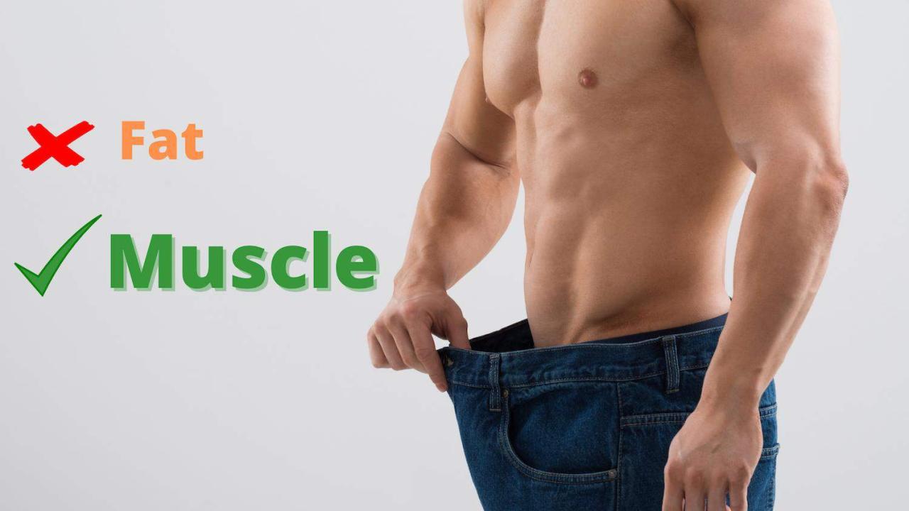How To Lose Fat Without Losing Muscle - THEBODYBUILDINGBLOG How To Lose Fat Without Losing Muscle - THEBODYBUILDINGBLOG