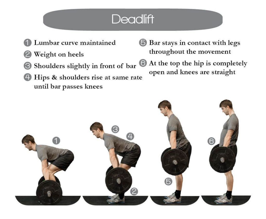 How to Deadlift (And Why Everyone Should) How to Deadlift (And Why Everyone Should)