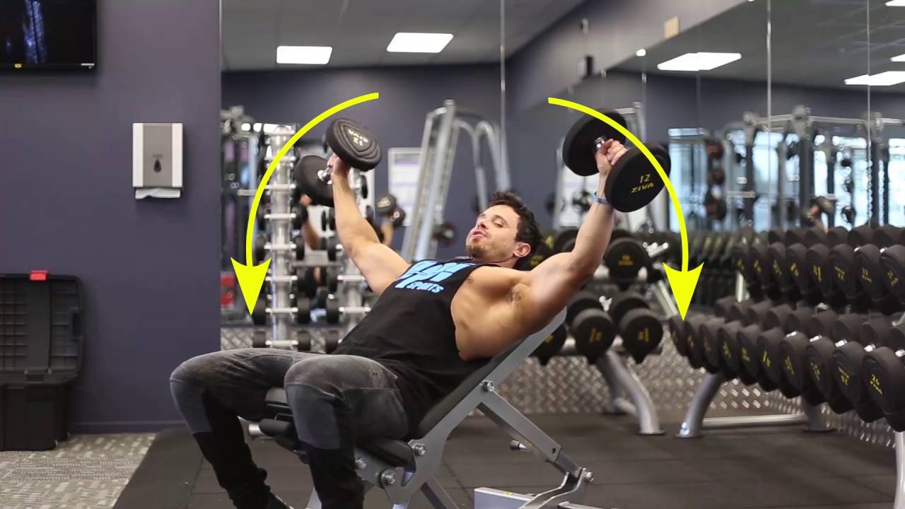 Chest Fly – coolguides Chest Fly – coolguides